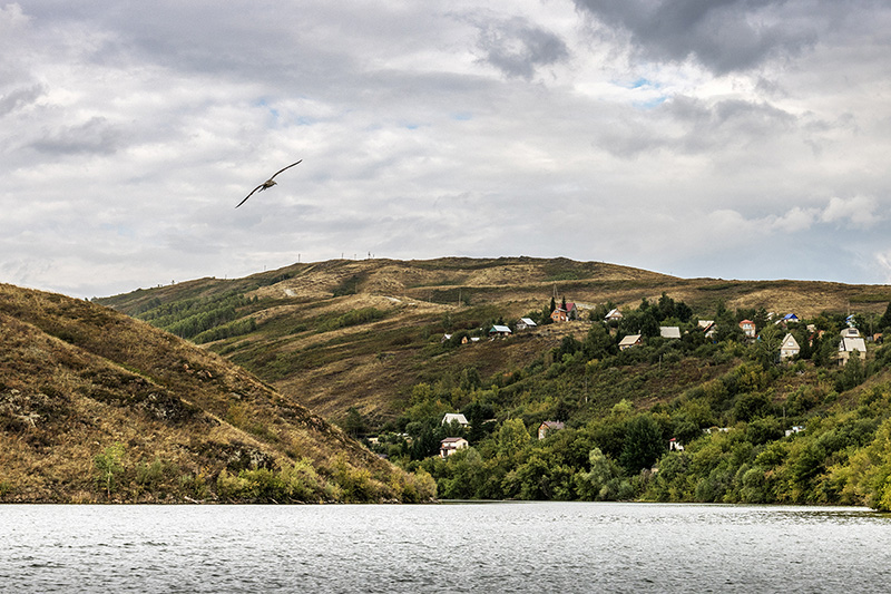 ���������� ...