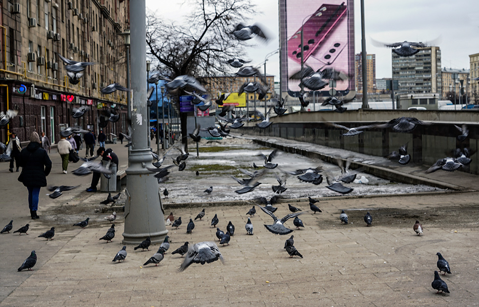 ���������� �������� ���������