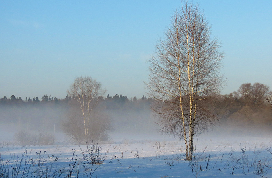 ���������� �� ���� ������� ������..