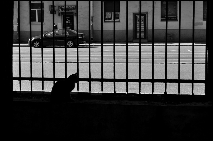 ���������� ***