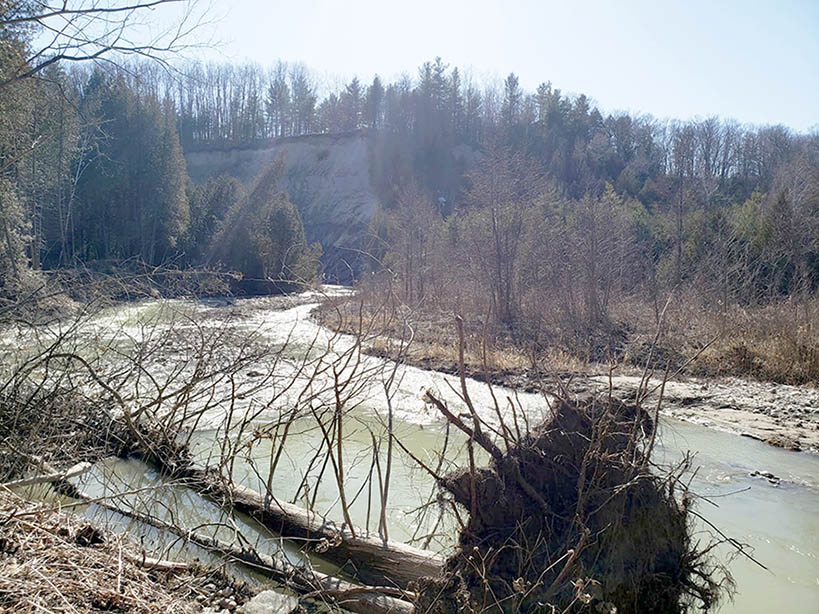 ���������� ��������