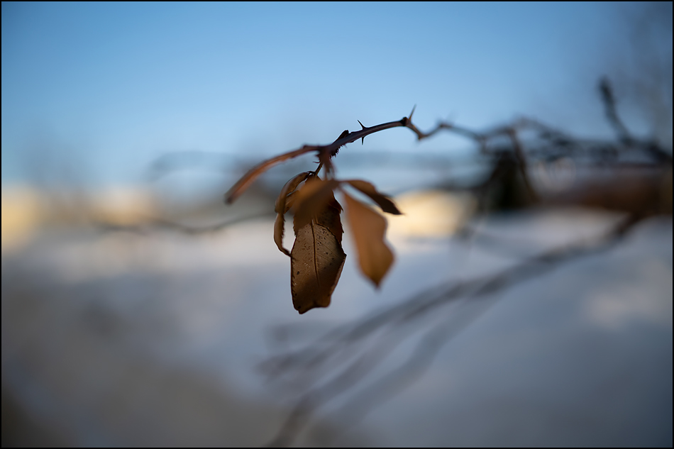 ���������� ������ �� ��������