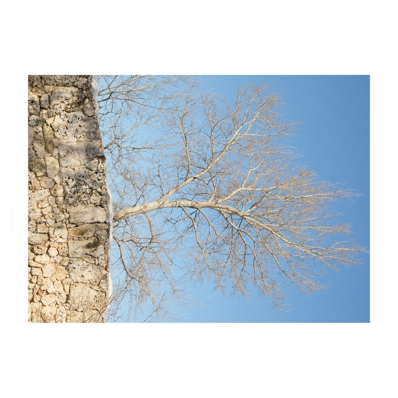 ���������� 1721