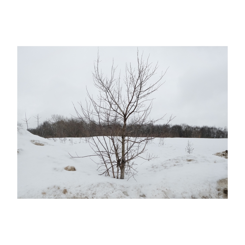 ���������� 1722