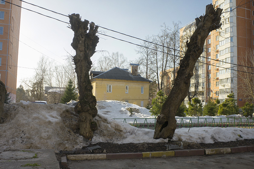 ���������� //�����, �� � ޣ�//