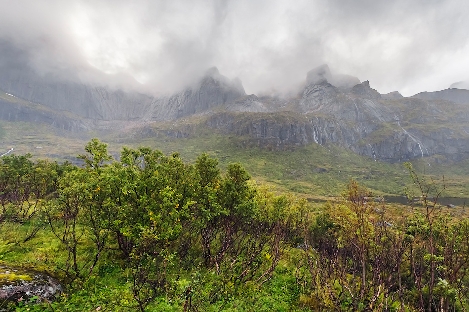 ���������� ***