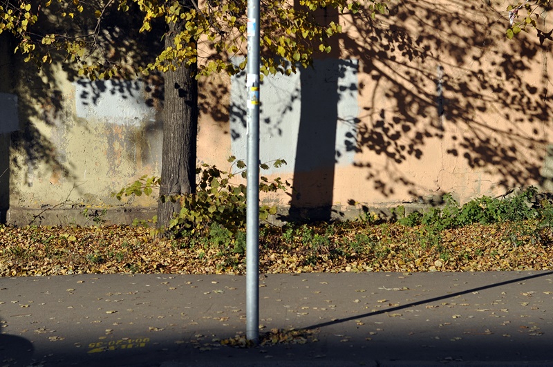 ���������� 3576