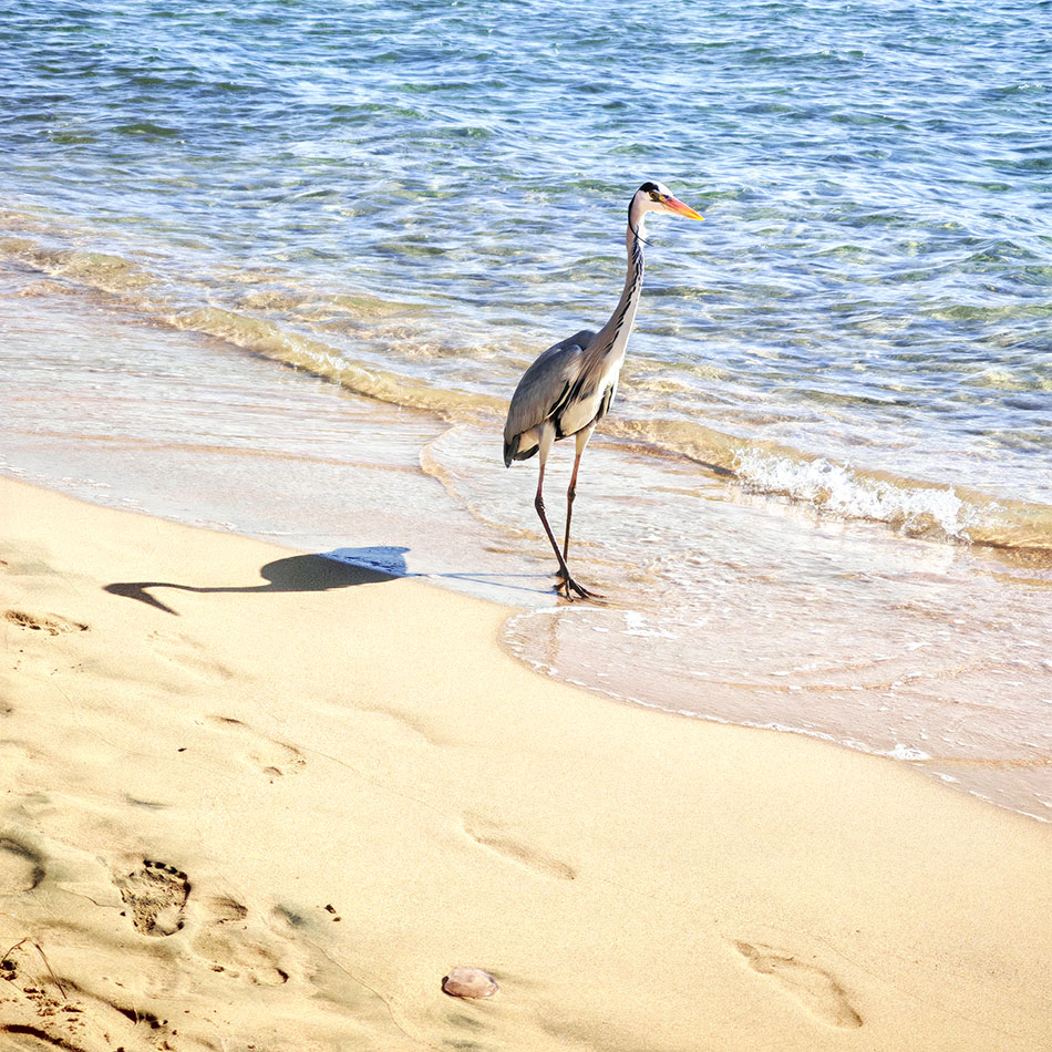 ���������� �� ���������