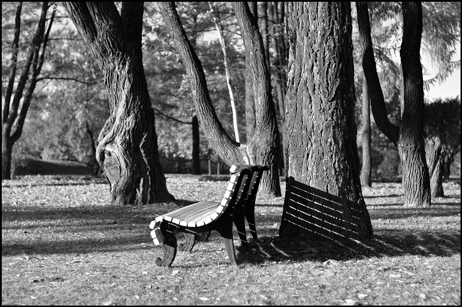 ���������� �����