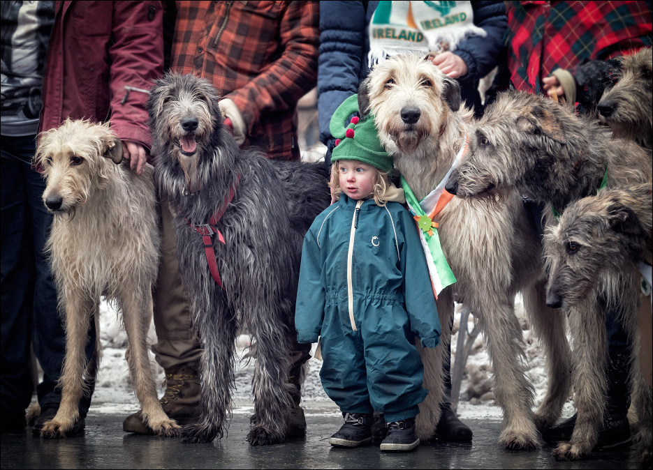 ���������� ����