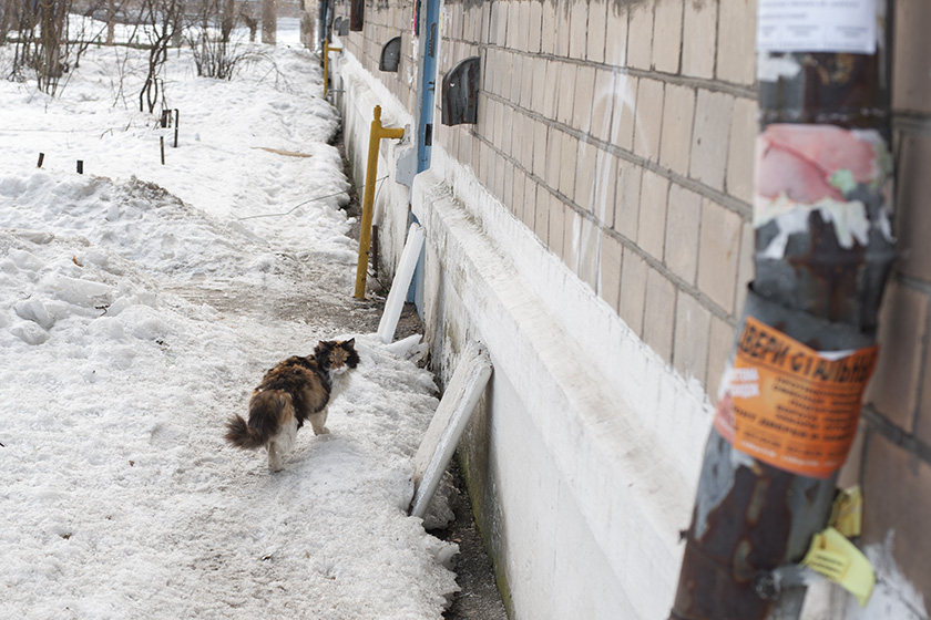 ���������� ***