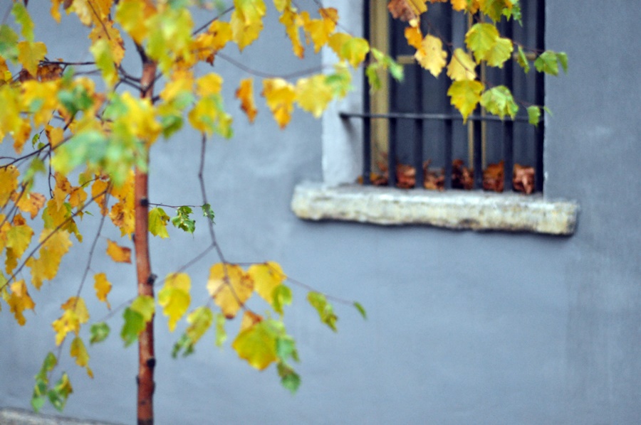 ���������� 4007