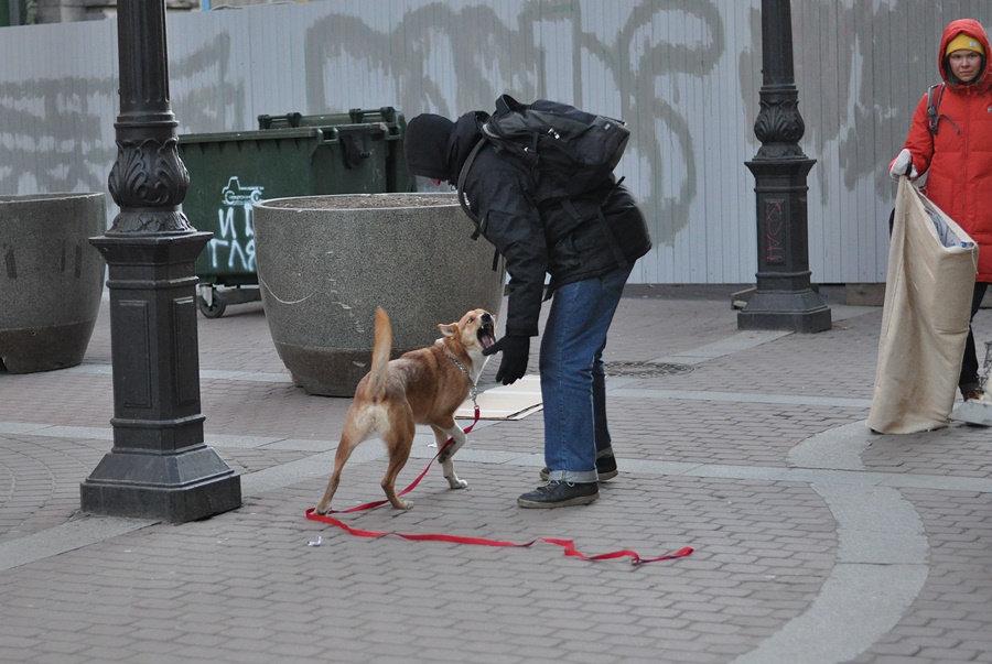 ���������� ***