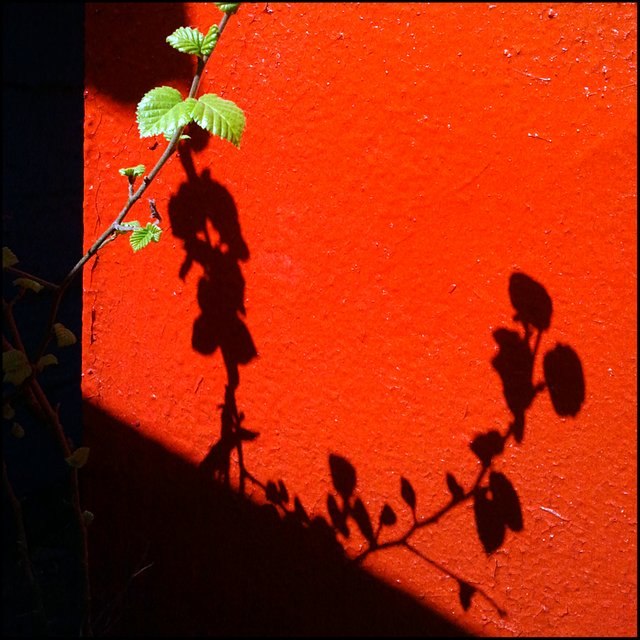 ���������� ***