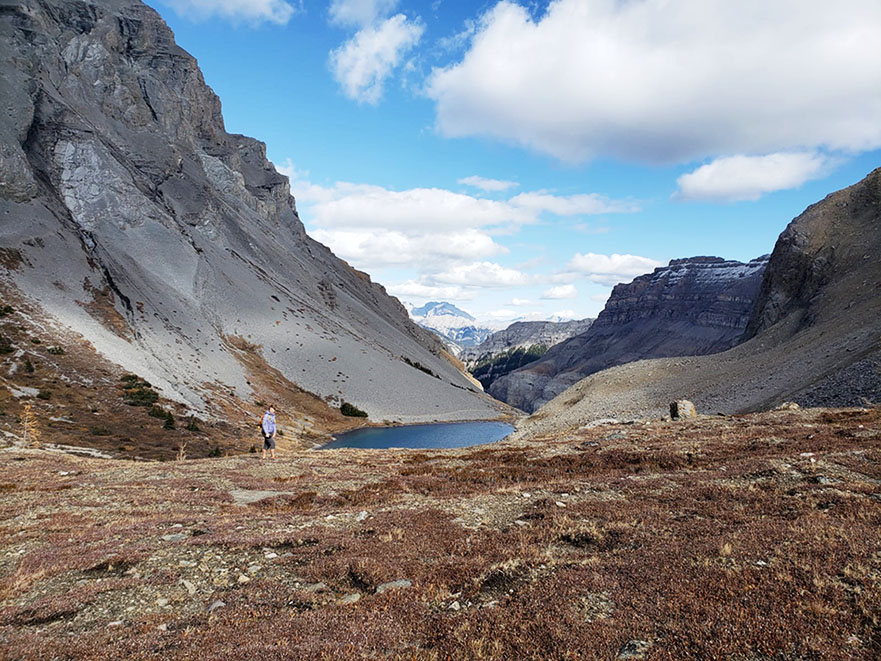 ���������� ��������