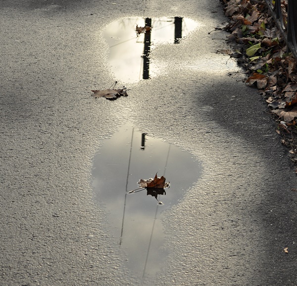 ���������� 3434