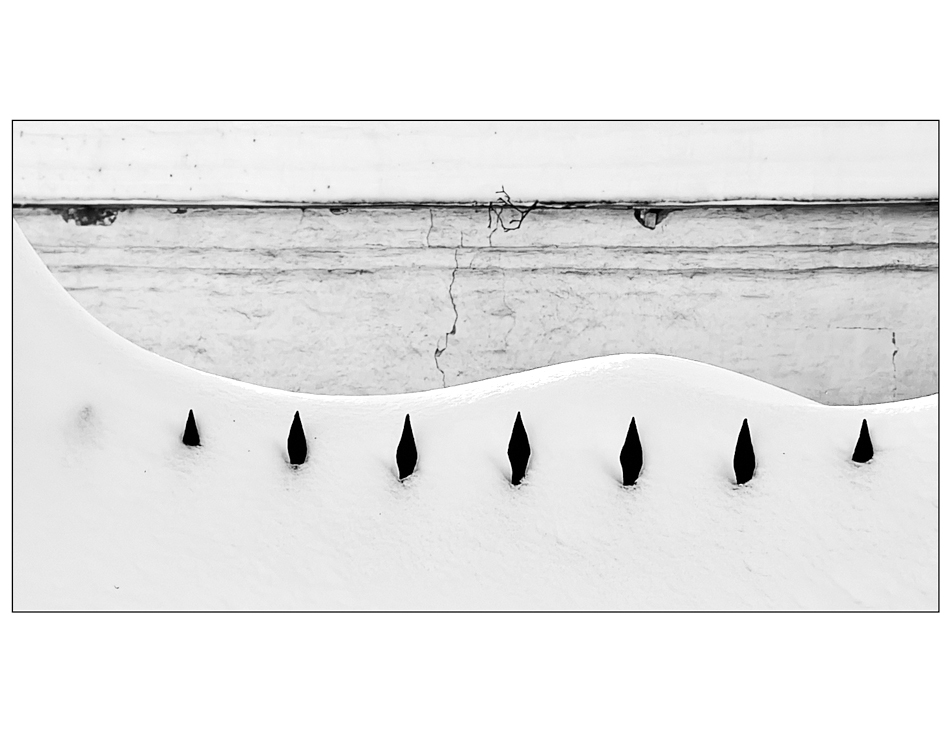 ���������� ����