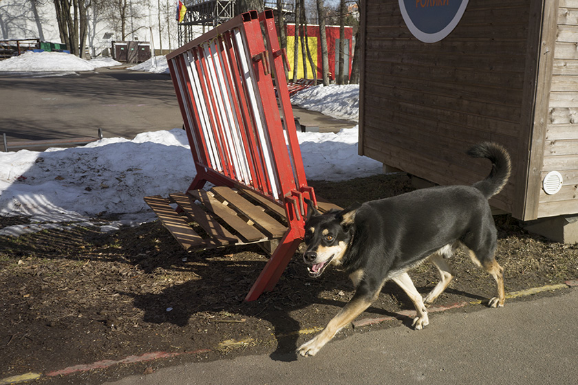 ���������� ����� ����