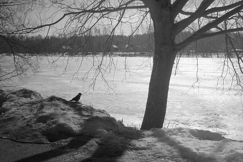 ���������� �� ����� ������...