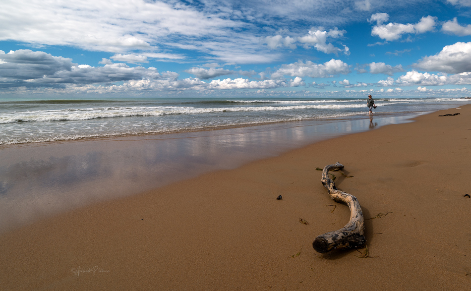 ���������� ������ ������