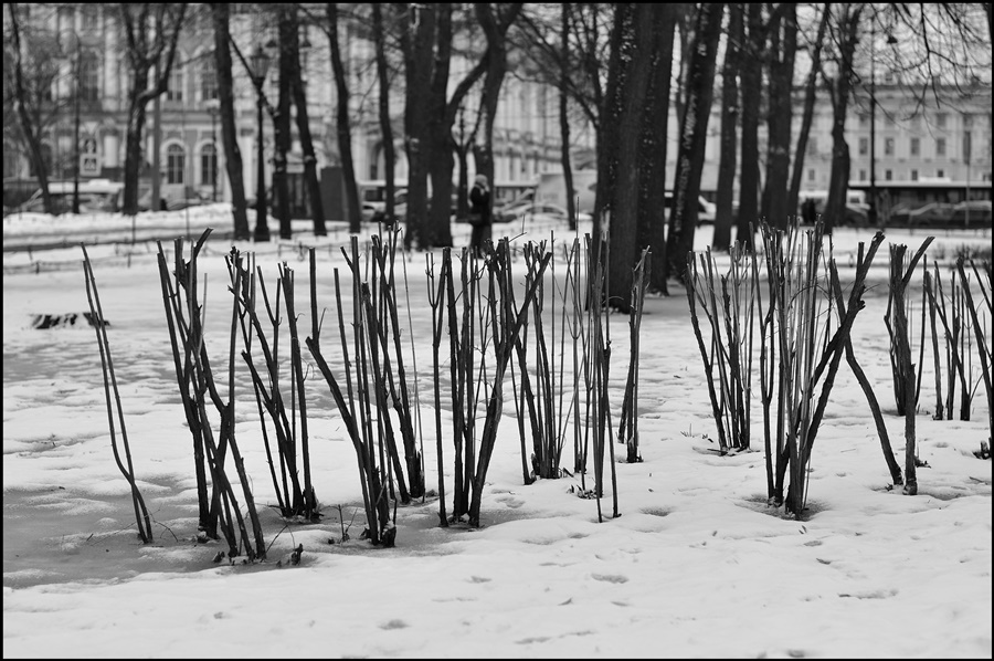 ���������� �����