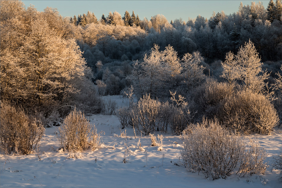 ���������� ***