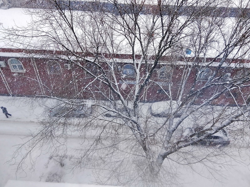 ���������� �������