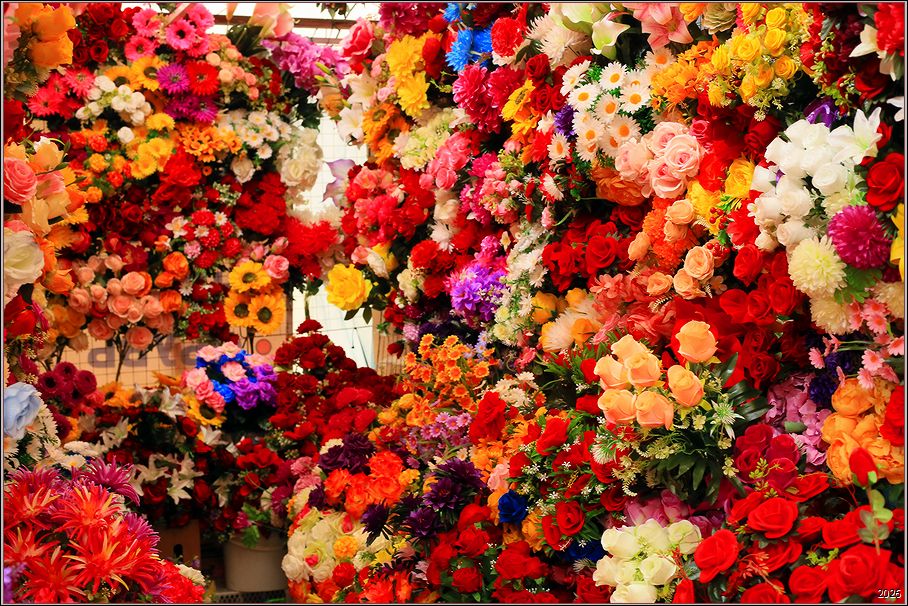 ���������� ���-���