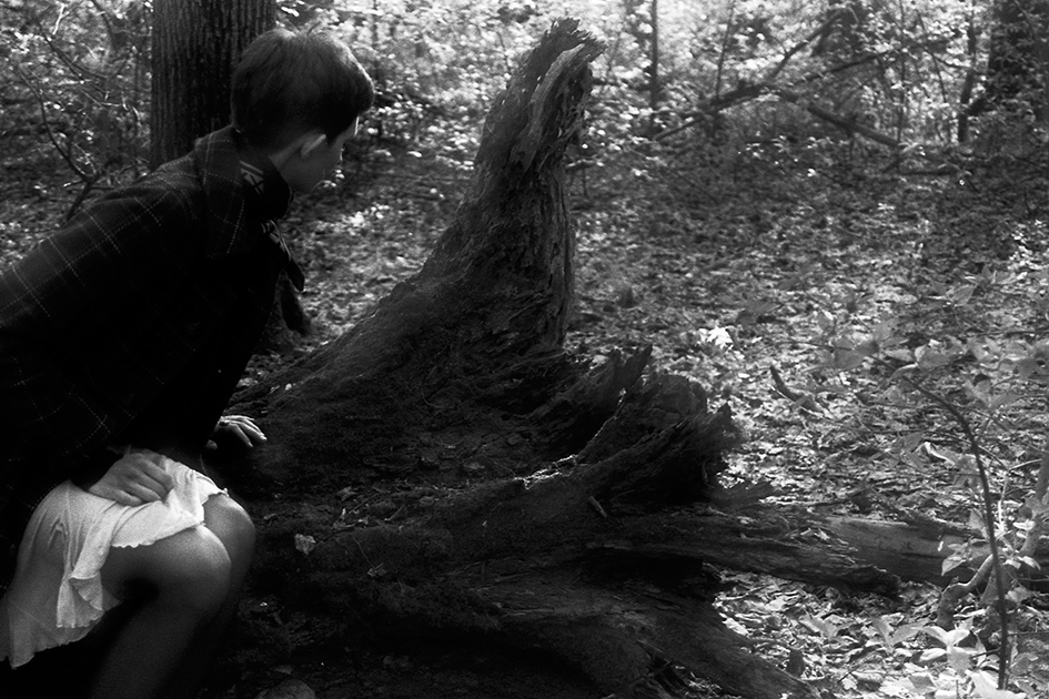 ���������� ***