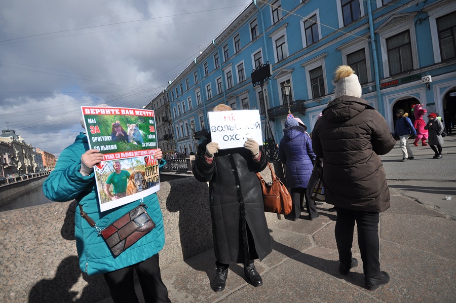 ���������� 3460