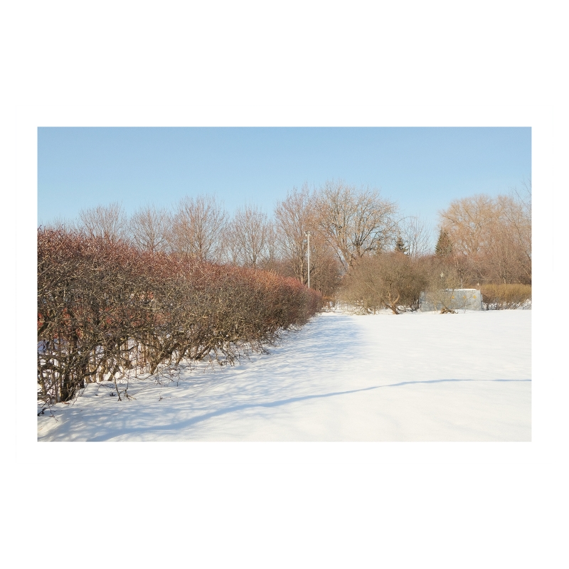 ���������� 1732