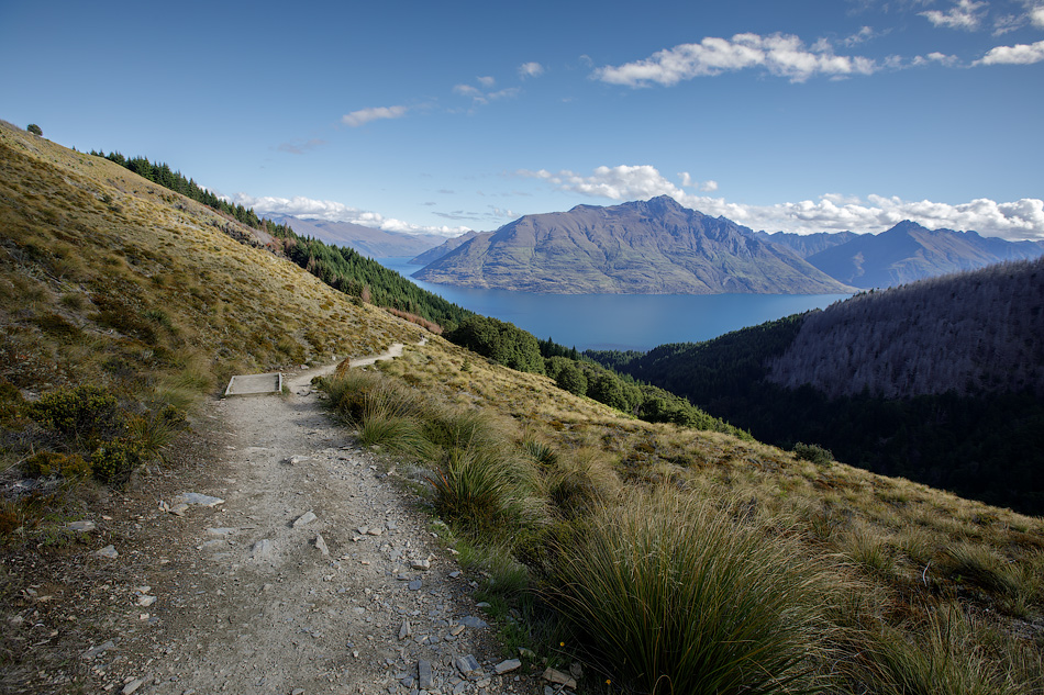 ���������� =NZ��������=