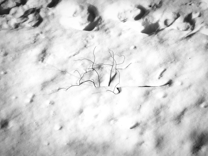 ���������� ����������