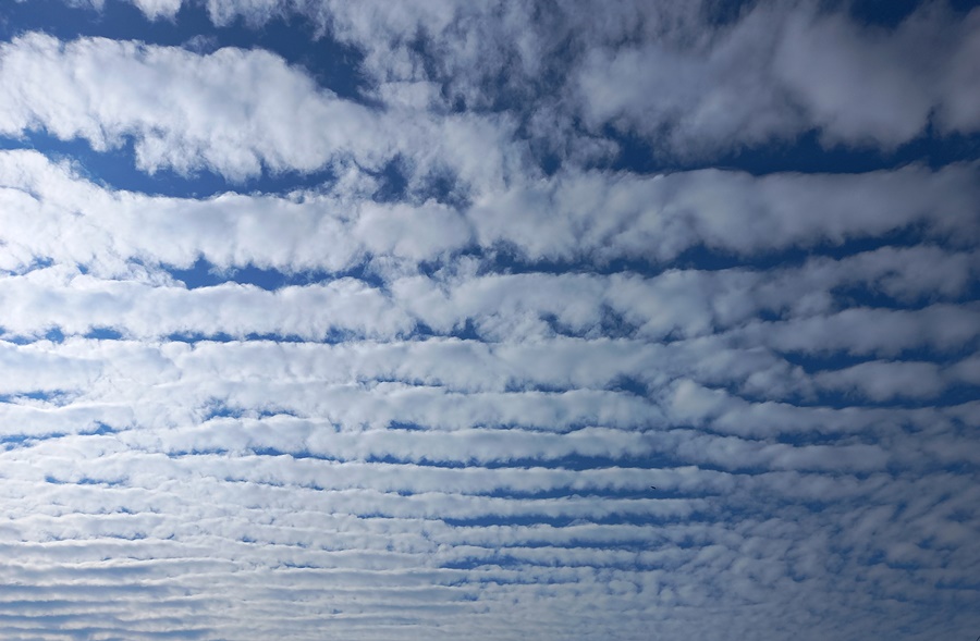 ���������� �������