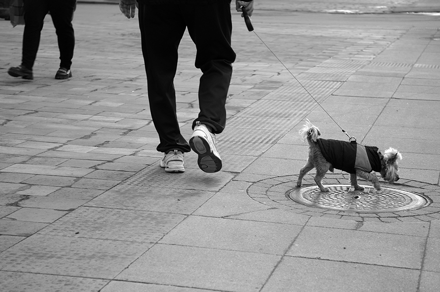 ���������� ���-���! � ��� ��� �����? 