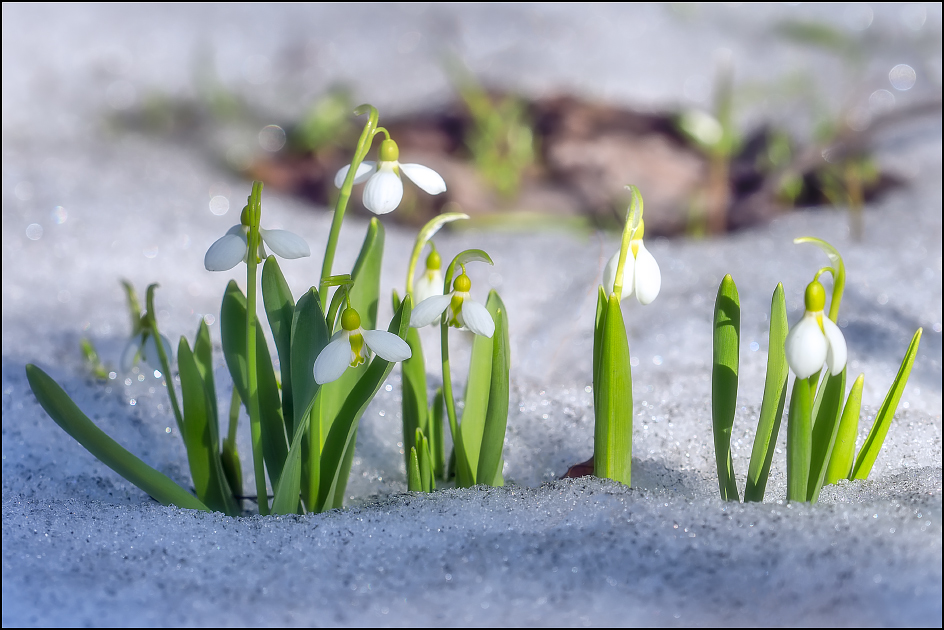 ���������� � ��� ����� ���������� �����