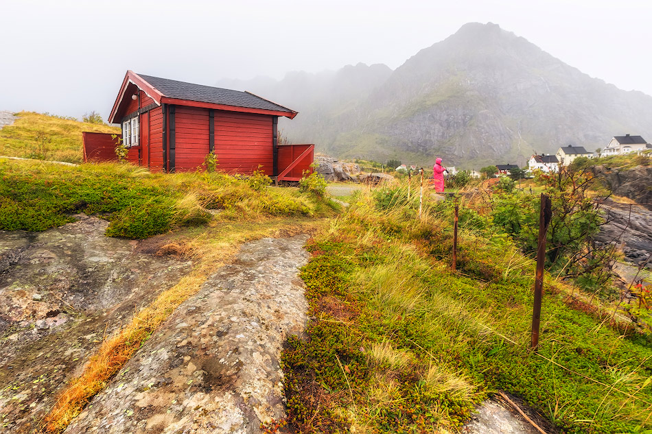 ���������� ***