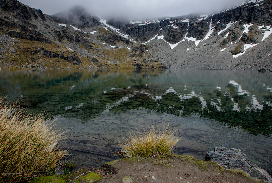 ���������� =NZ��������=