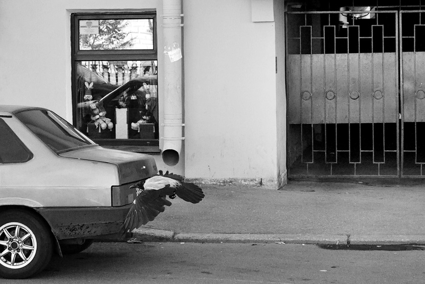 ���������� ...�� ����� ������