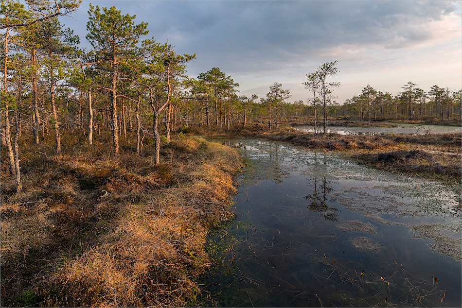 ���������� �������.