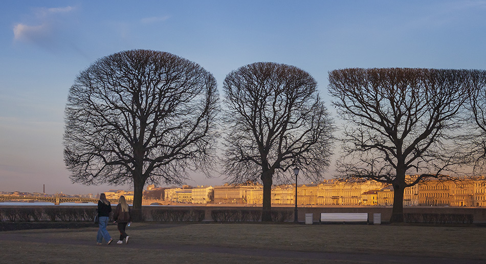 ���������� *** *** ***