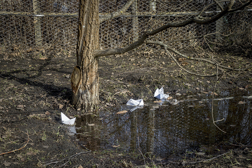 ���������� ��������