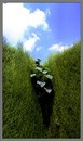 Green piece 