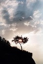 Fly2