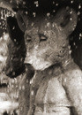 Medvezhiy Ston (Stone)