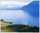    . #1 - Lavaux