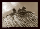 Dragon Cliffs. The Nests