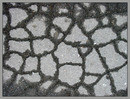 Texture