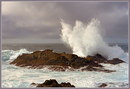 Point Lobos - . #1