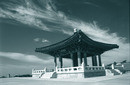 Skyshot